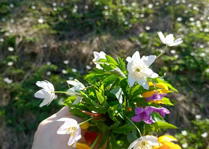 Agroturystyka U Chlebkow