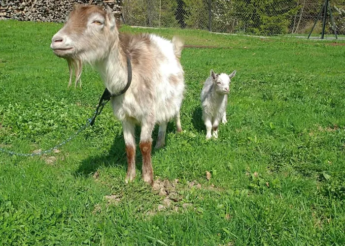 Agroturystyka U Chlebkow