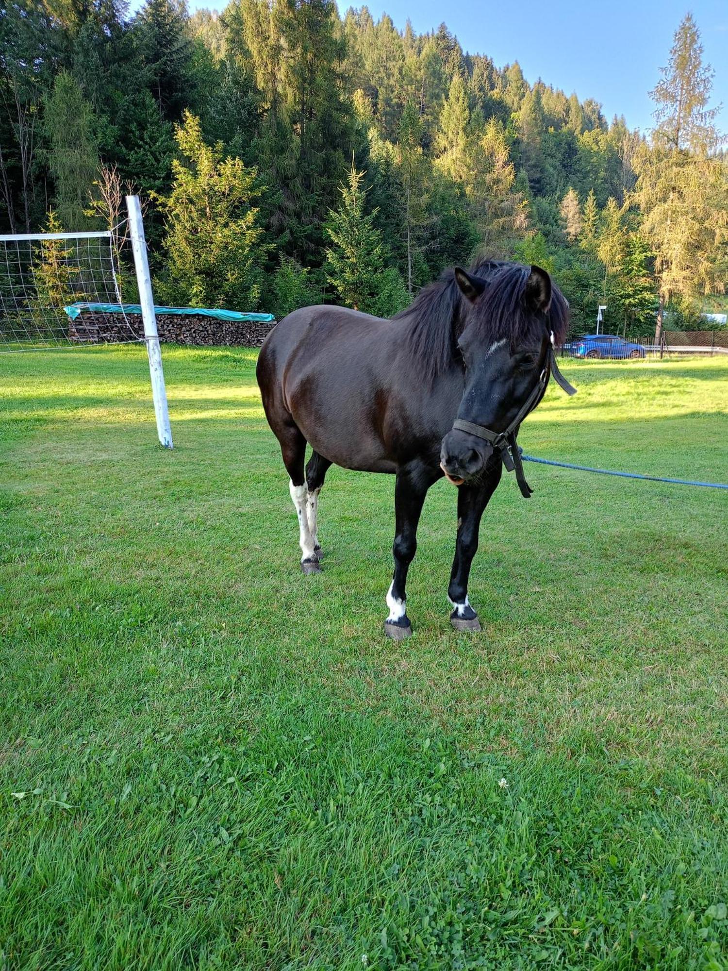 Alloggio per agriturismo U Chlebkow Ochotnica Górna